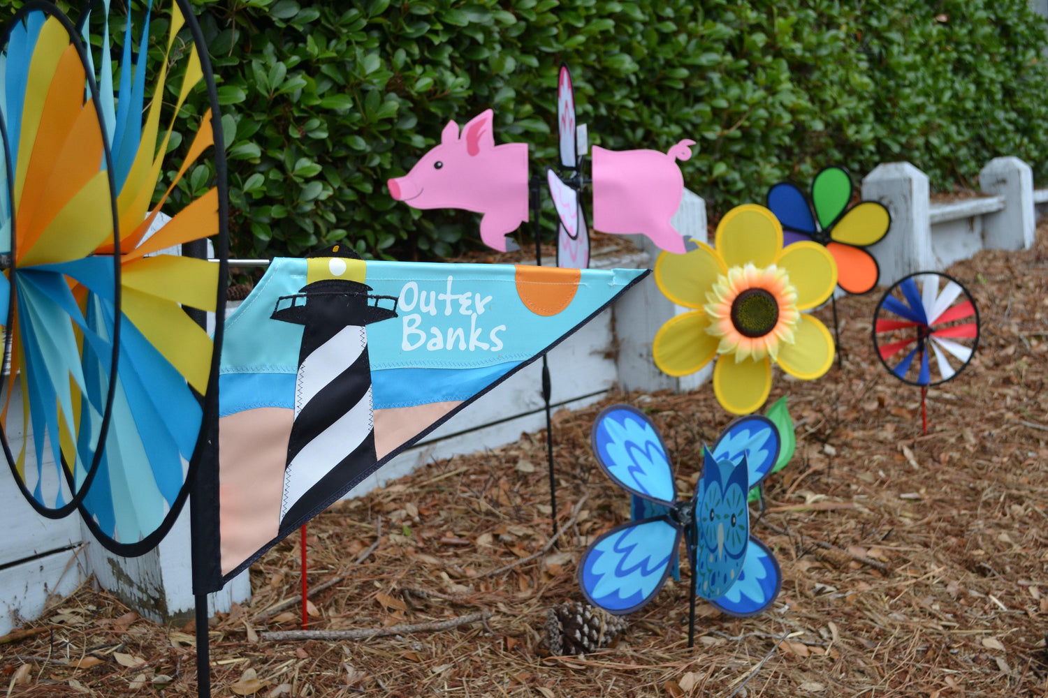 Wind Art - Kitty Hawk Kites Online Store