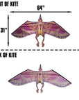 64" DinoSoars Pterodactyl Kite