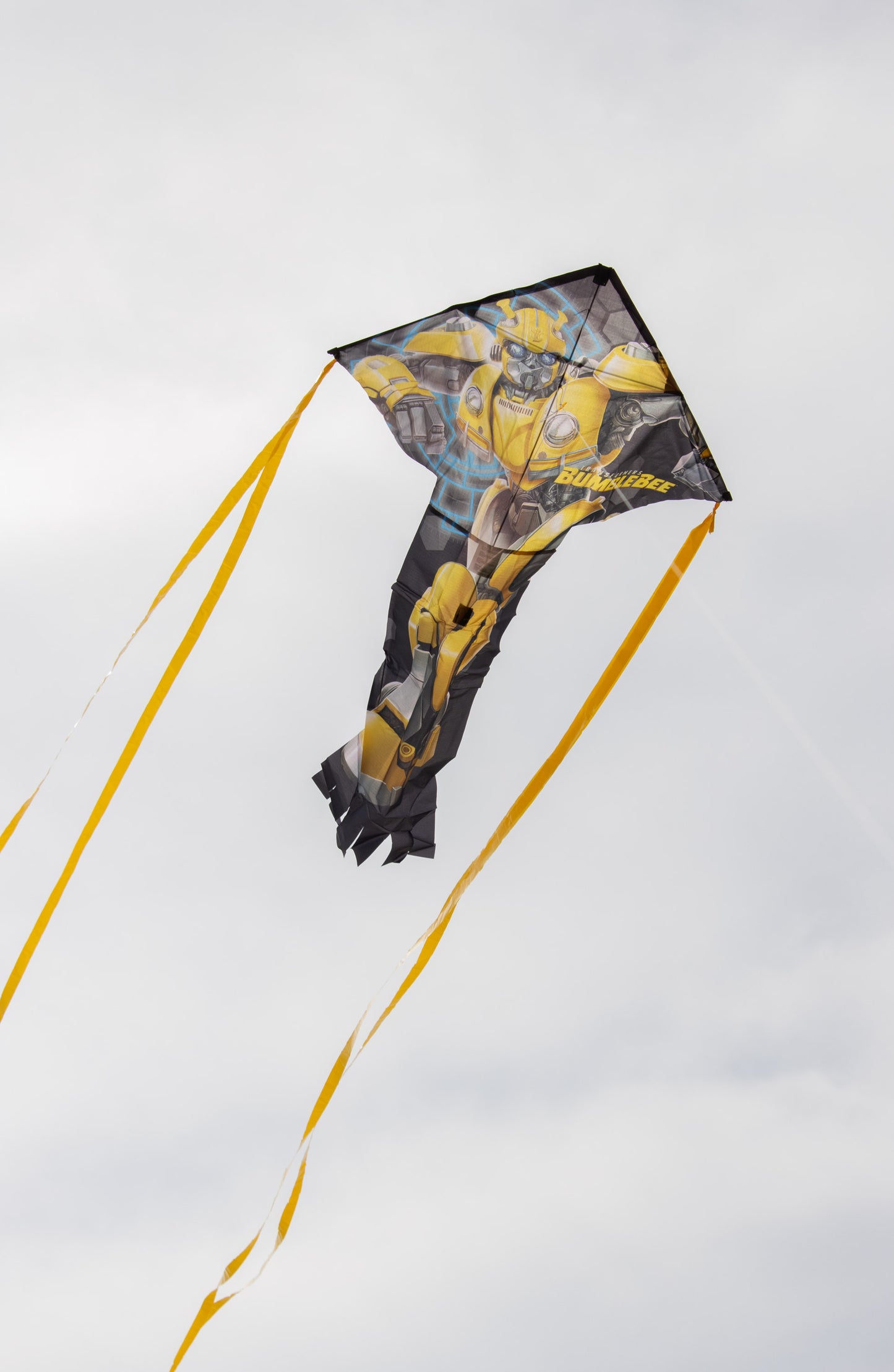 50" SkyFlier Nylon Kite - Bumblebee