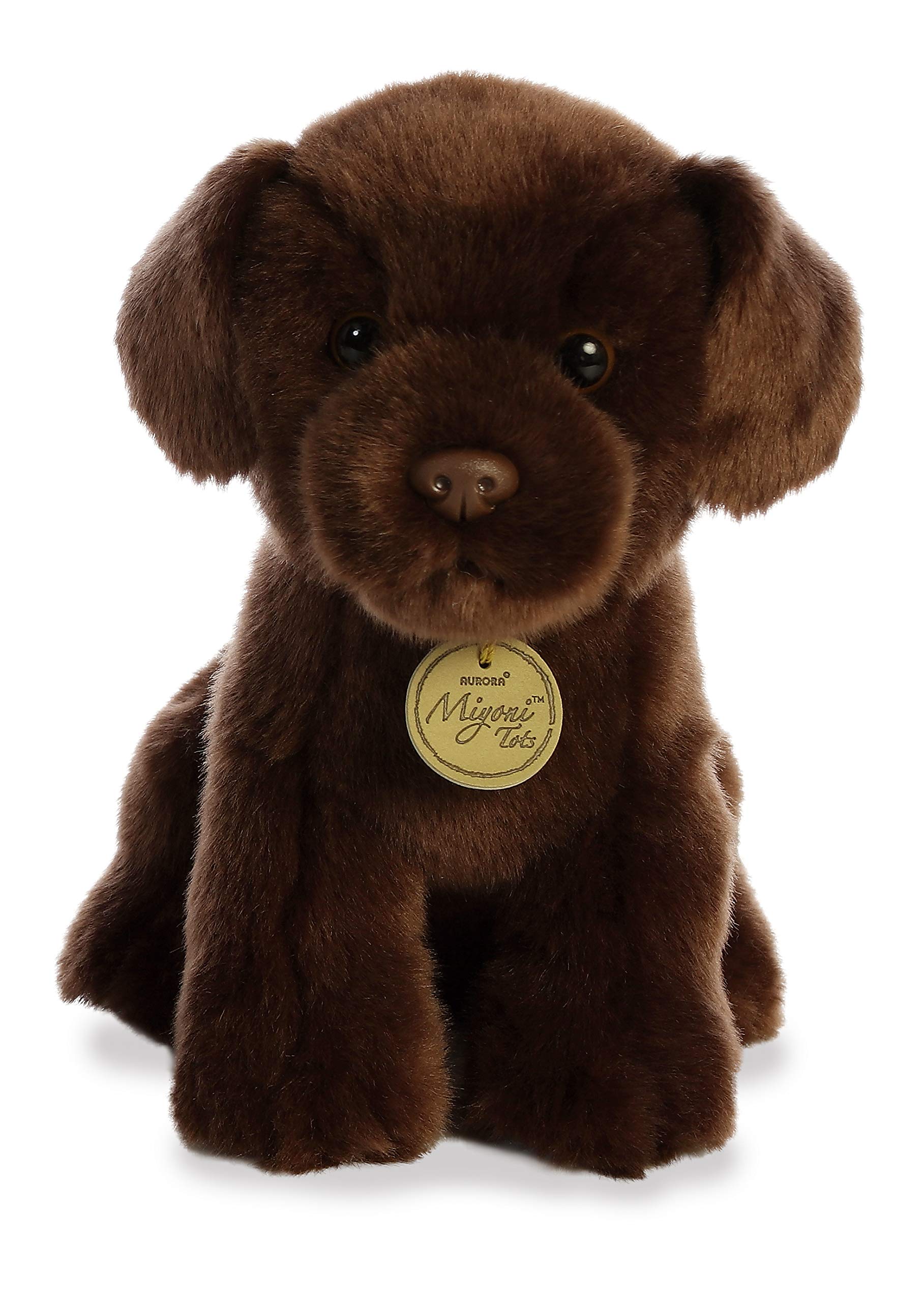 Aurora - Miyoni - 11&quot; Chocolate Lab Pup, Brown