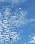 Killip Foil Kite 20 - Patriotic