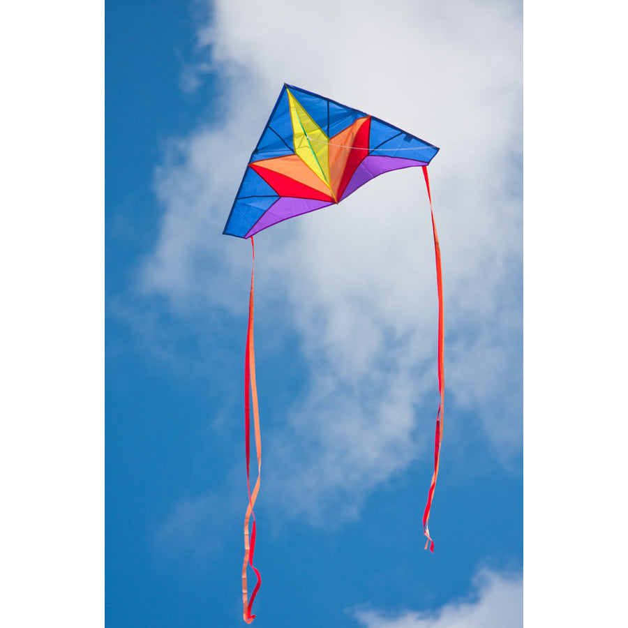 HQ Delta Stern Single Line Kite