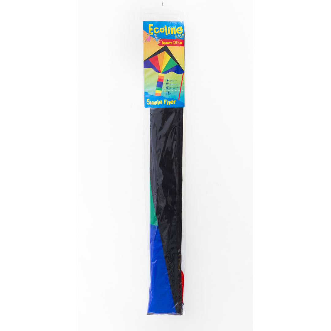 Eco Line Simple Flyers - Rainbow Large Delta Kite