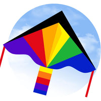 Eco Line Simple Flyers - Rainbow Large Delta Kite
