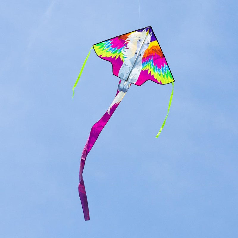 47" Simple Flyer Delta Kite - Pegasus