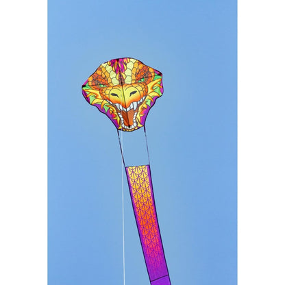 32' Dragonhead Kite