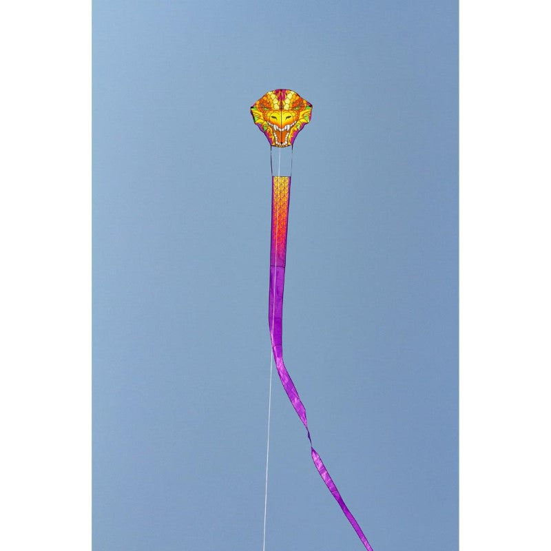 32' Dragonhead Kite