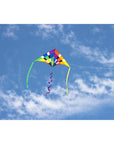 2M Delta Rainbow Checker Single Line Kite