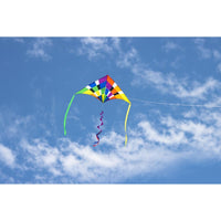 2M Delta Rainbow Checker Single Line Kite