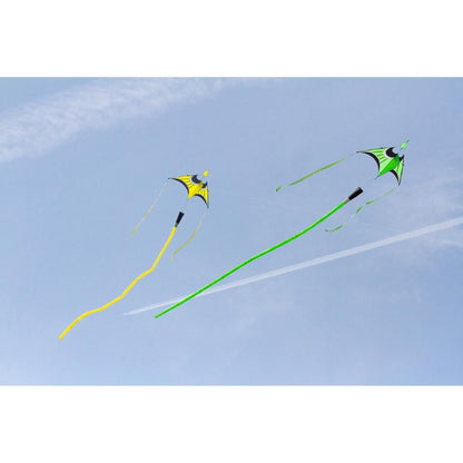 Hoffmann's Canard Delta - Large/Lime