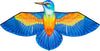 Kingfisher