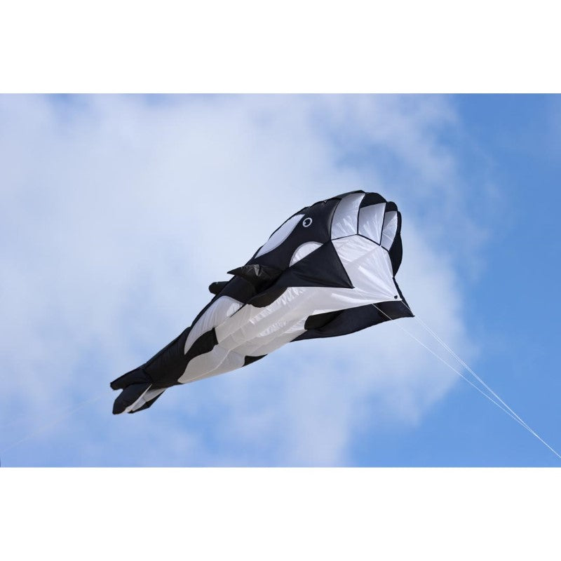 Orca Parafoil Kite