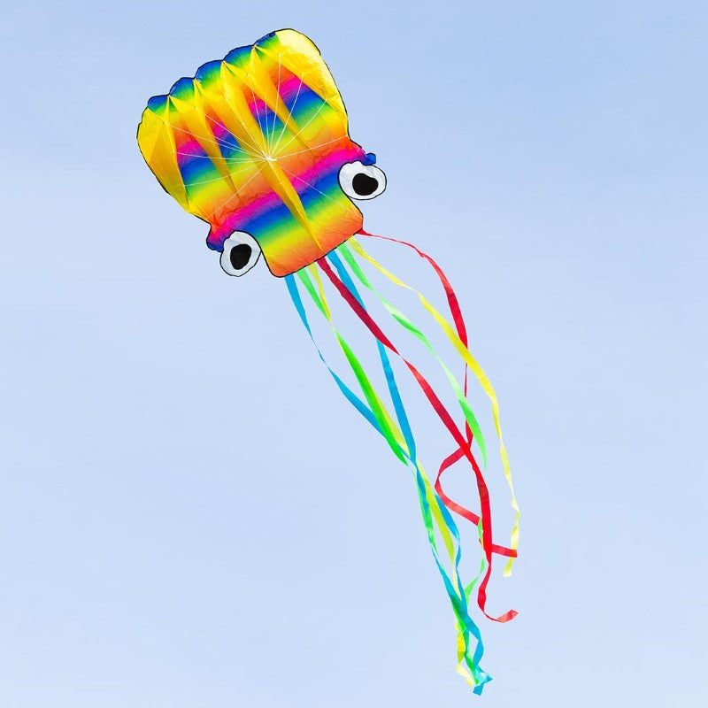 Large Rainbow Octopus Kite