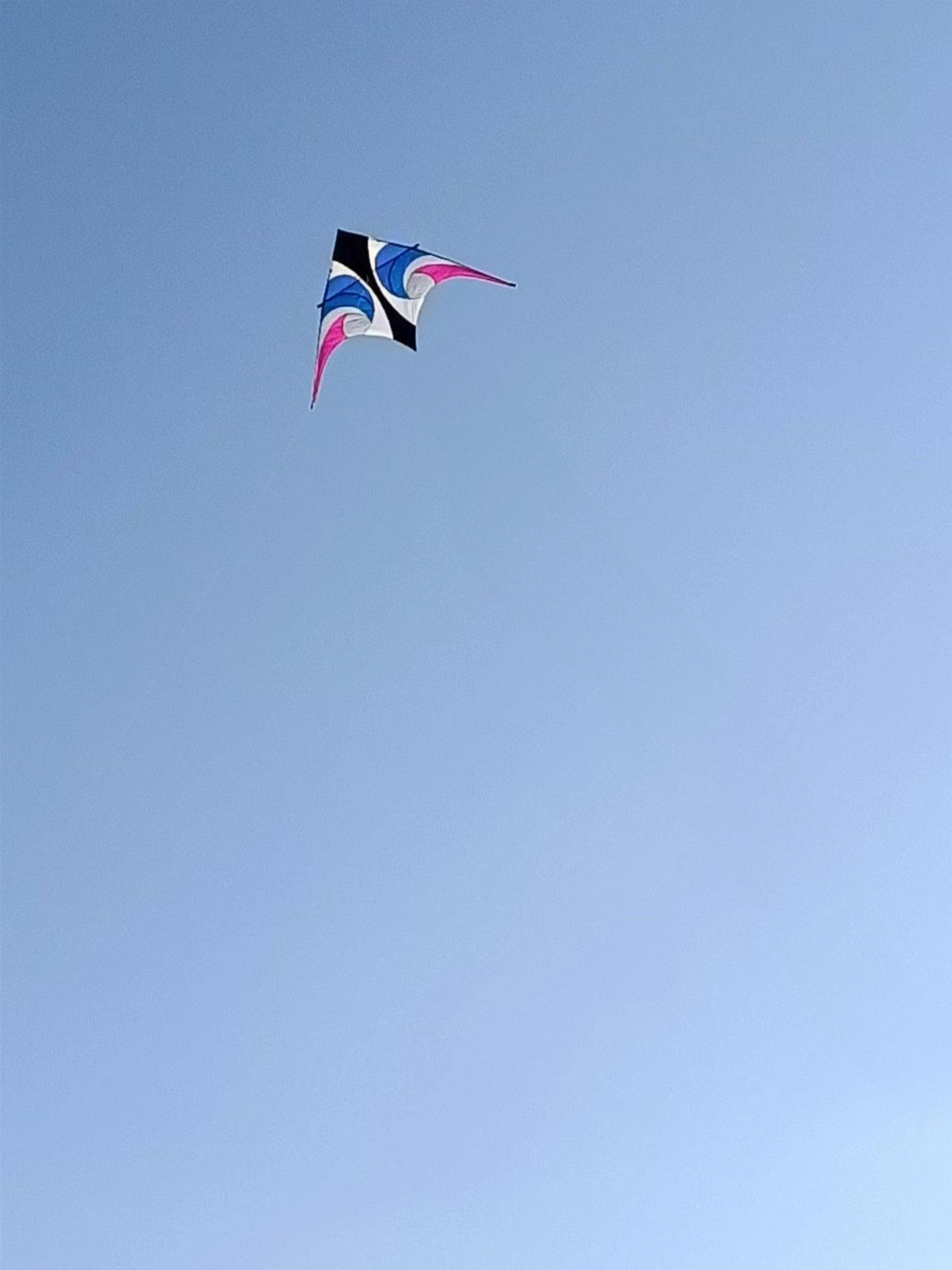 11.5 Delta Kite - Waverider