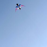11.5 Delta Kite - Waverider