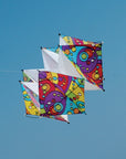Clarke's Crystal Box Kite - Rainbow Orbit