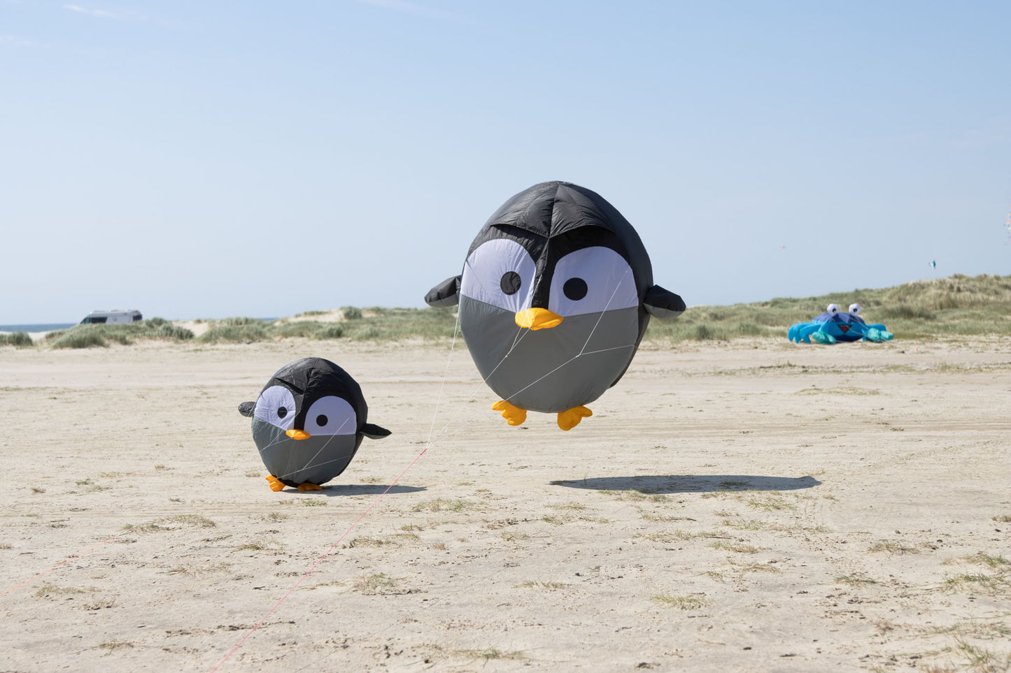 39" Bouncing Birdeez XL - Penguin