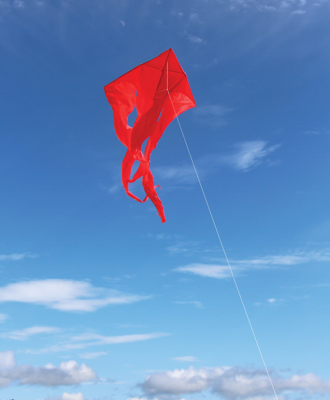 52" Wave Delta Kite - Red