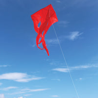 52" Wave Delta Kite - Red