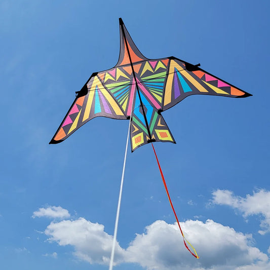 16' Thunderbird Kite - Rainbow Geometric