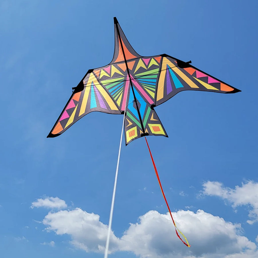 16' Thunderbird Kite - Rainbow Geometric