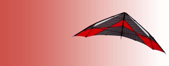 Every kite is guaranteed to fly