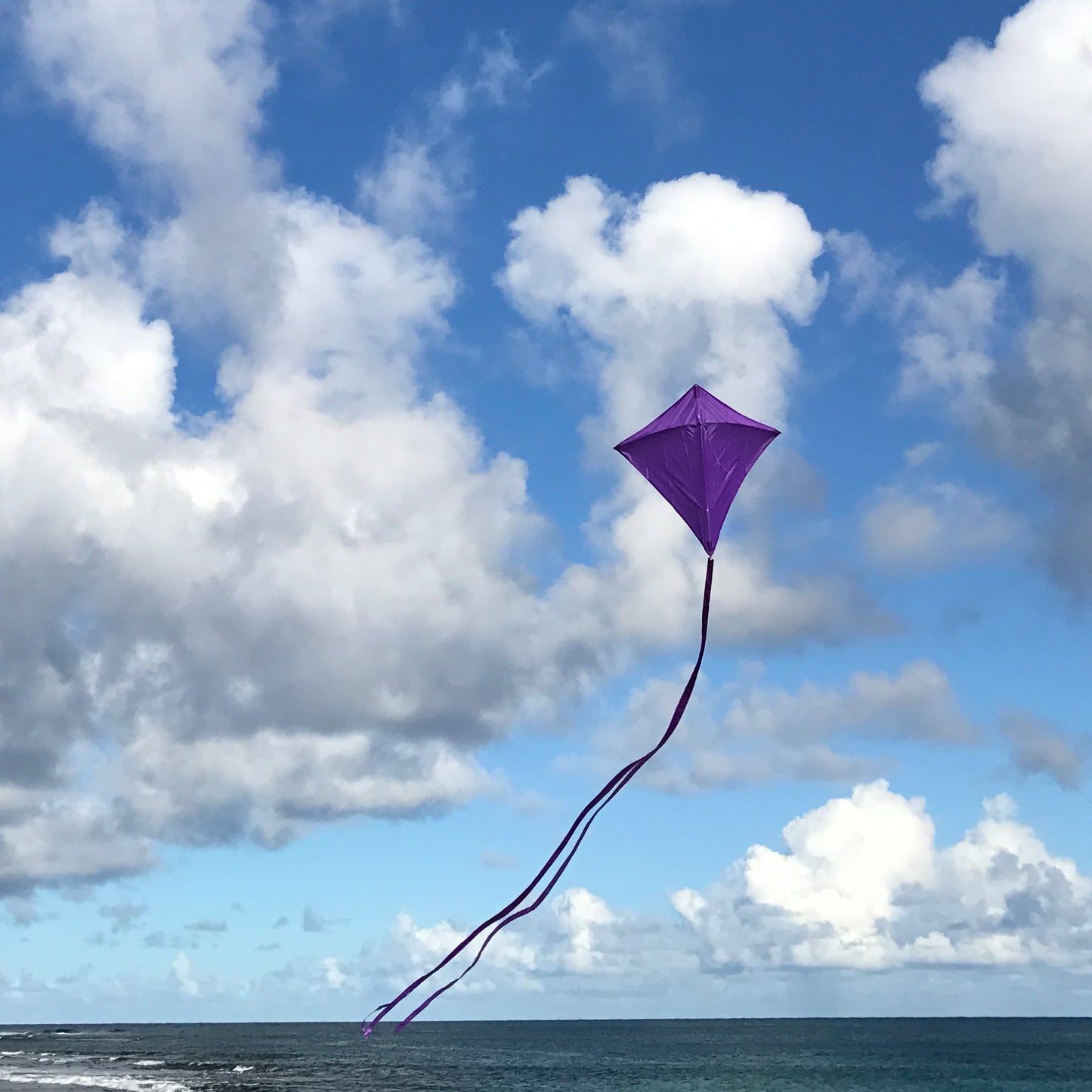 30" Solid Diamond Kite - Purple