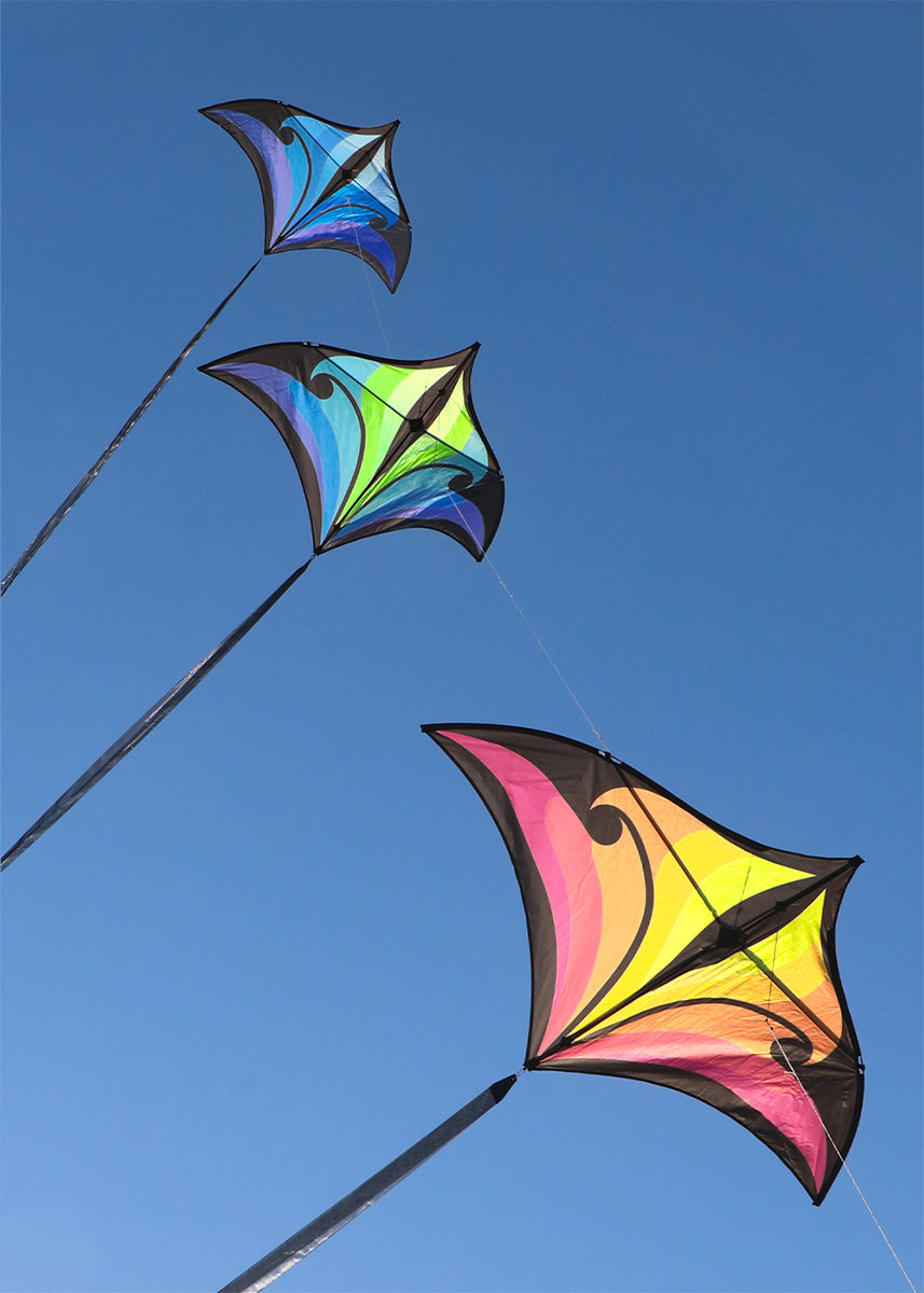 Swift Delta by Spiderkites - Aqua/Violet