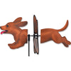 Dachshund