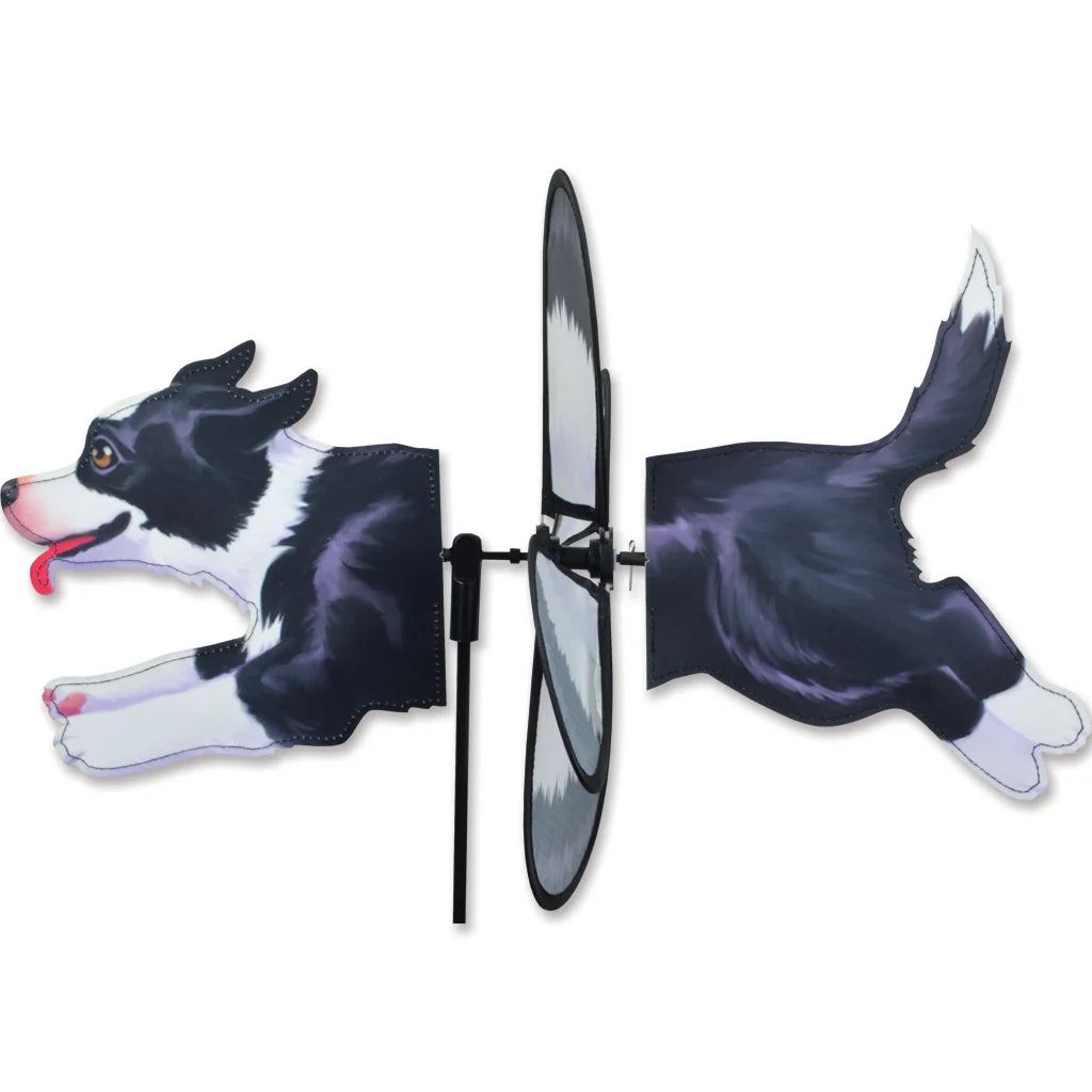 Petite Spinner - Border Collie Dog