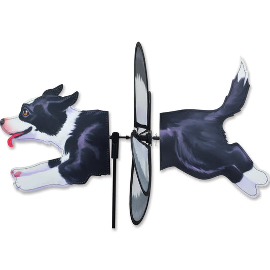 Petite Spinner - Border Collie Dog