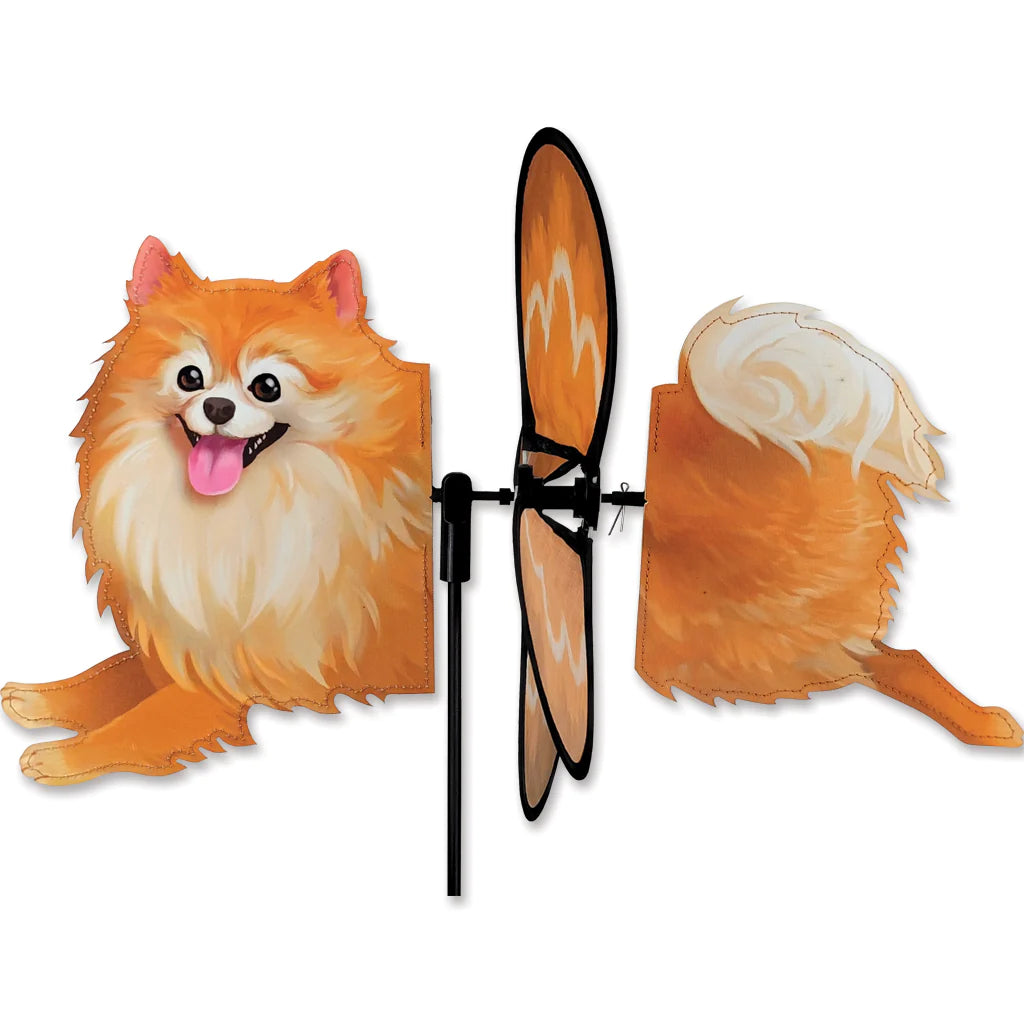 Petite Spinner - Pomeranian