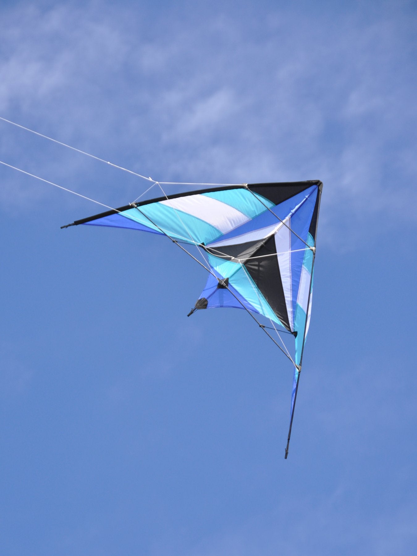 68" Sport Kite - Ocean Breeze