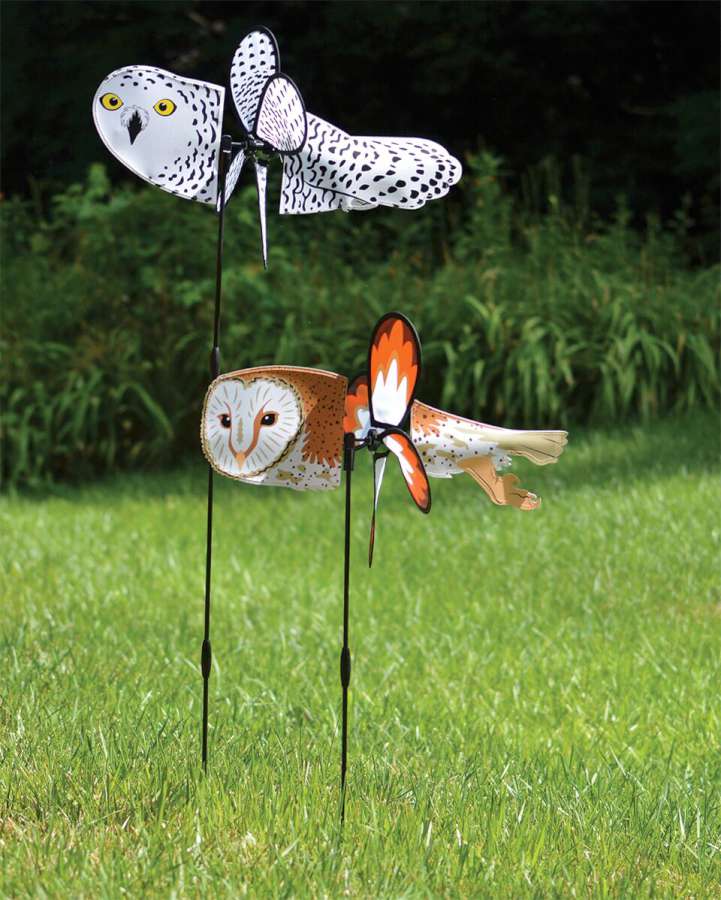 Petite Spinner - Snowy Owl – Kitty Hawk Kites