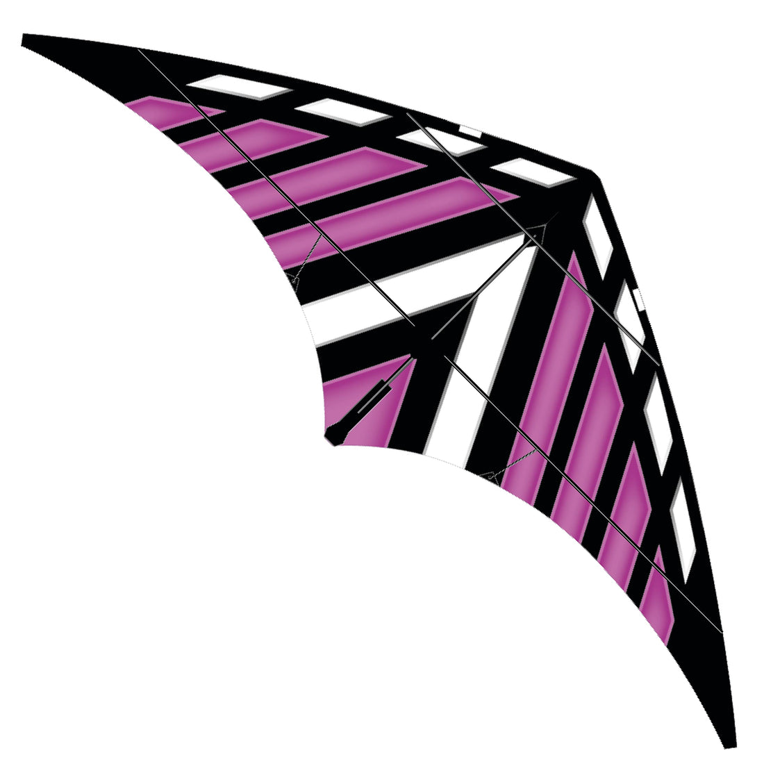 70" DC Sport Dual Control Stunt Kite - Purple