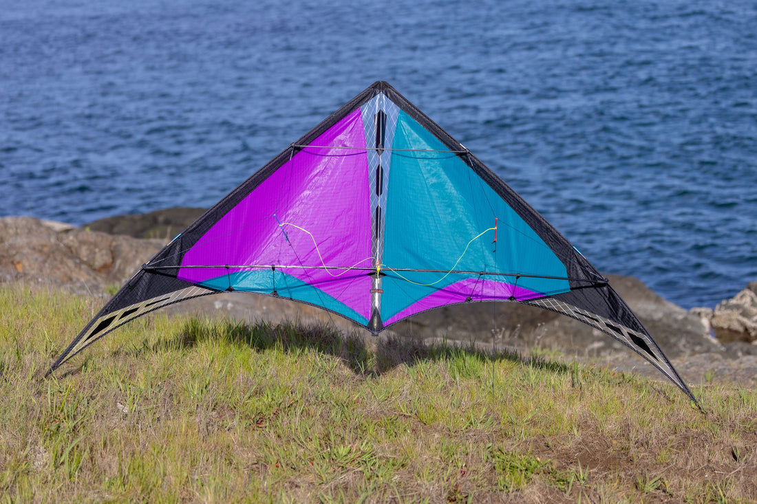 Prism Aether Sport Kite - Berry