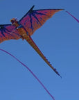 10ft Dragon Sky Giant Kite