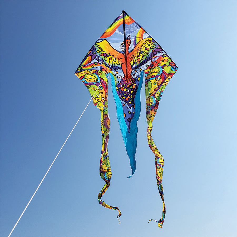 6.5 ft. Flo-Tail Delta Kite - Rainbow Bird