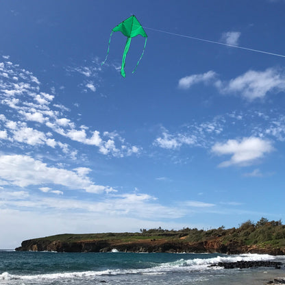 In the Breeze Solid Color Fly-Hi Kites - Green