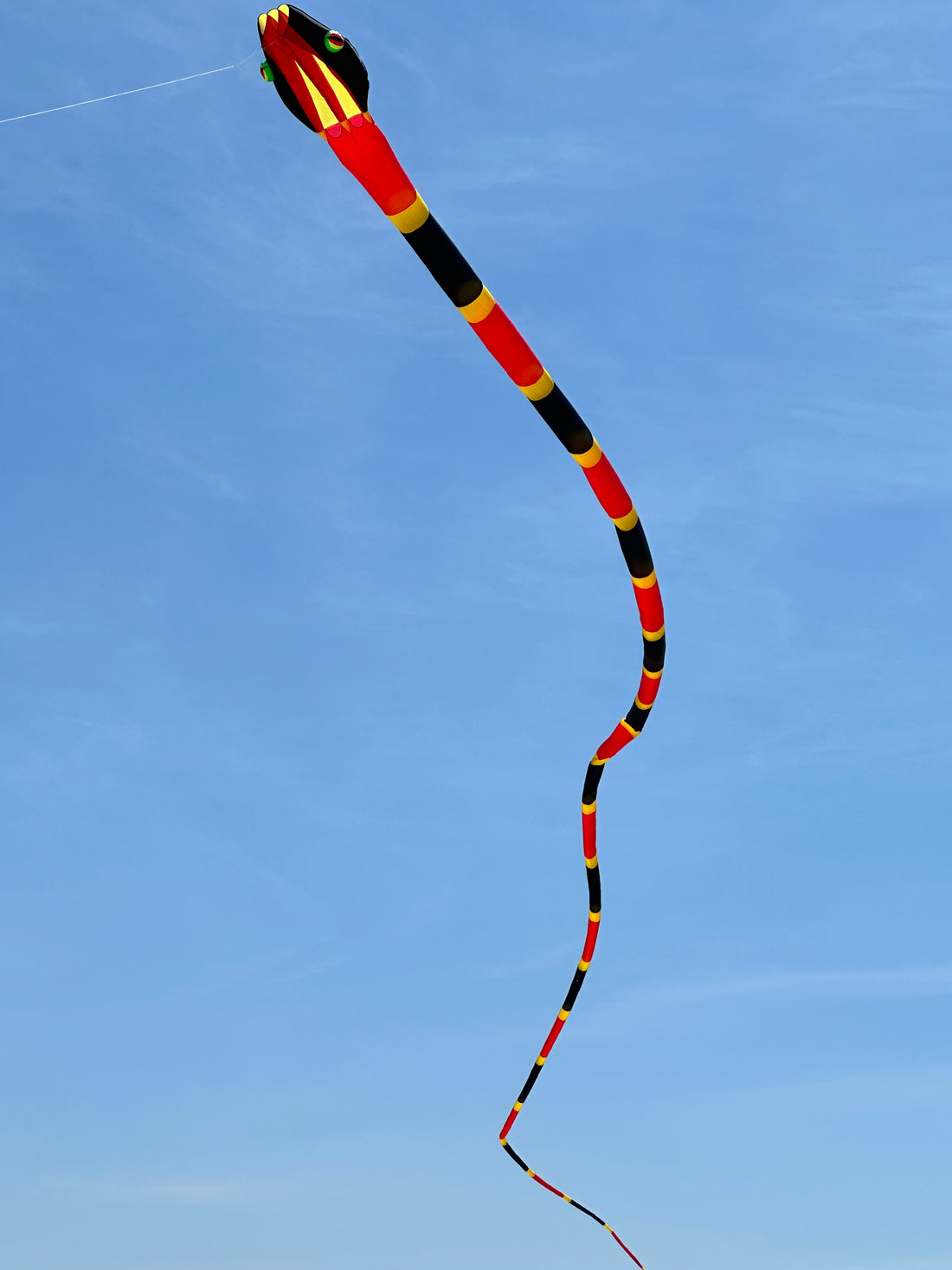 55m Inflatable Snake Kite - Red/Yellow