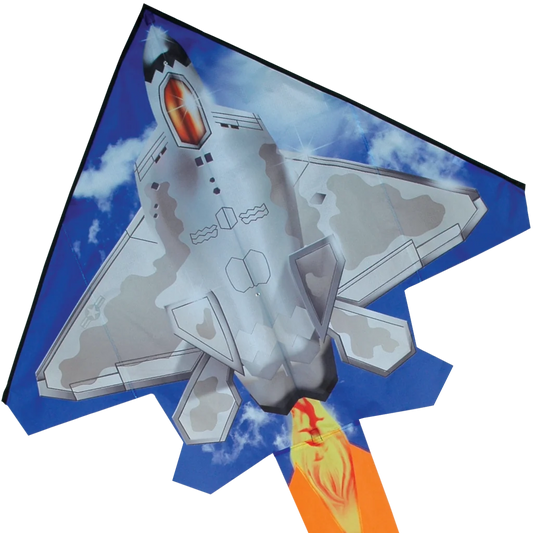 53" 2D Jet Kite - F-22 Raptor