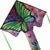 Green Butterfly