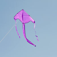 In the Breeze Solid Color Fly-Hi Kites - Purple