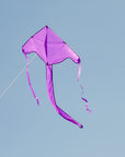 In the Breeze Solid Color Fly-Hi Kites