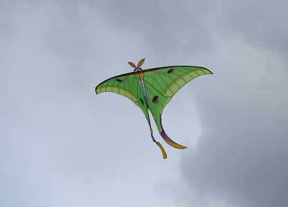 140" Luna Moth Kite