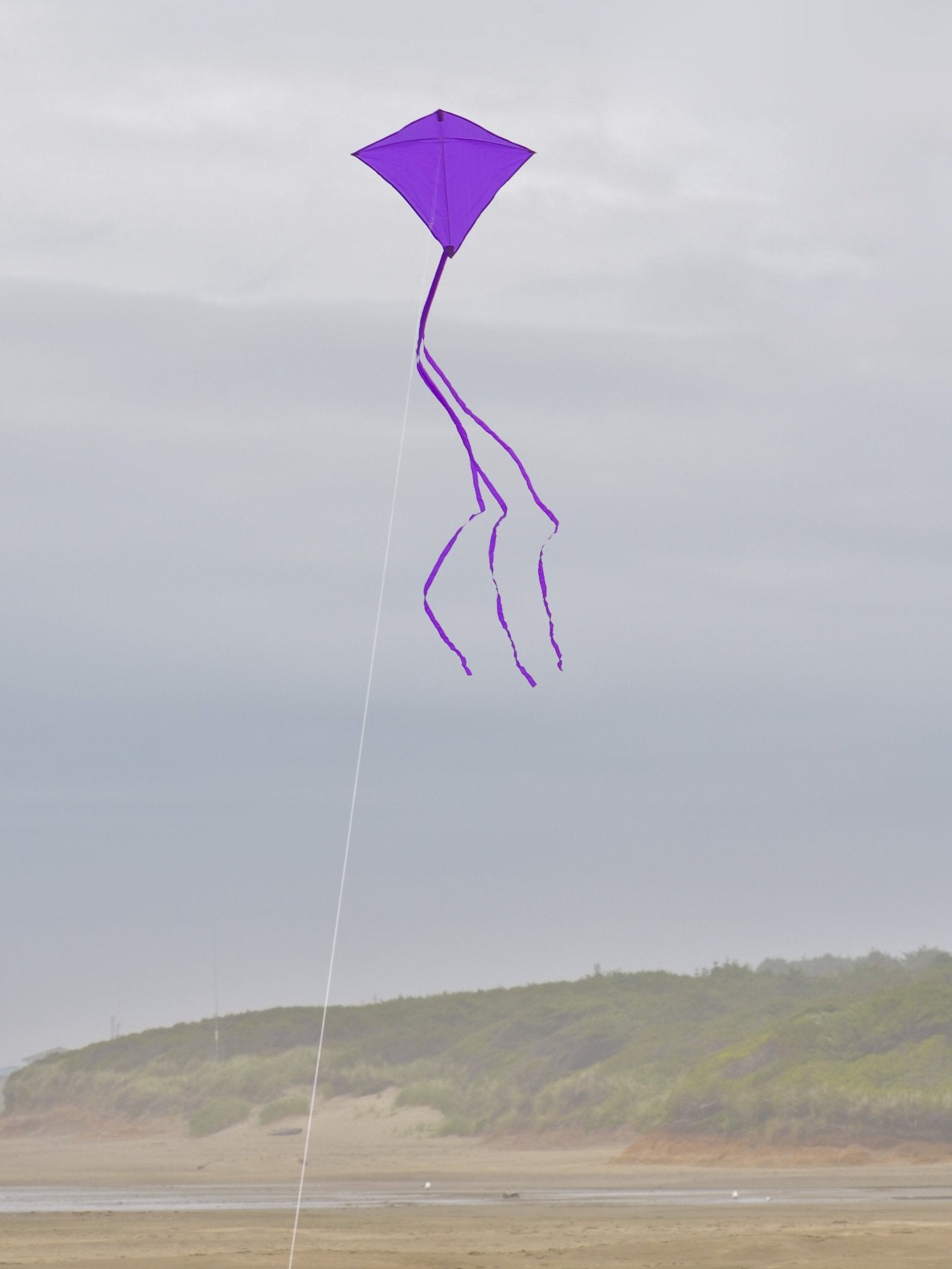 30" Solid Diamond Kite - Purple