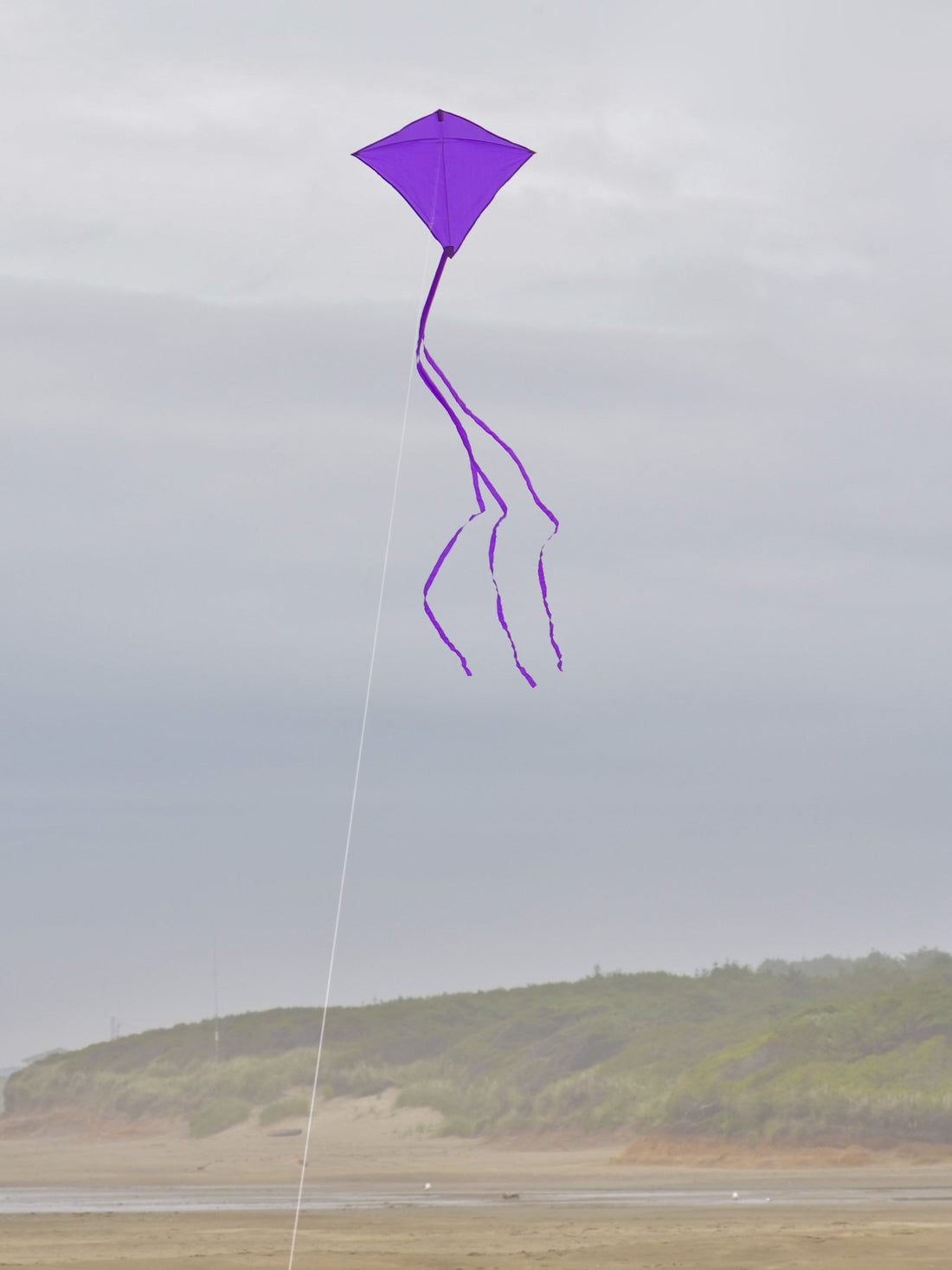Purple 30" Diamond Kite