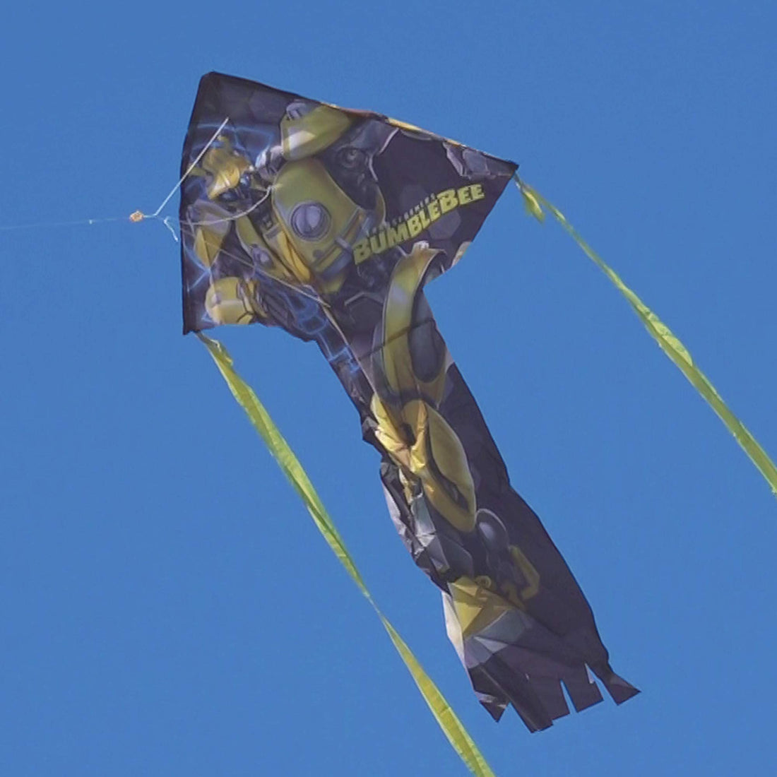 X Kites SkyFlier Nylon Kite, Bumblebee, 50 Inches Tall