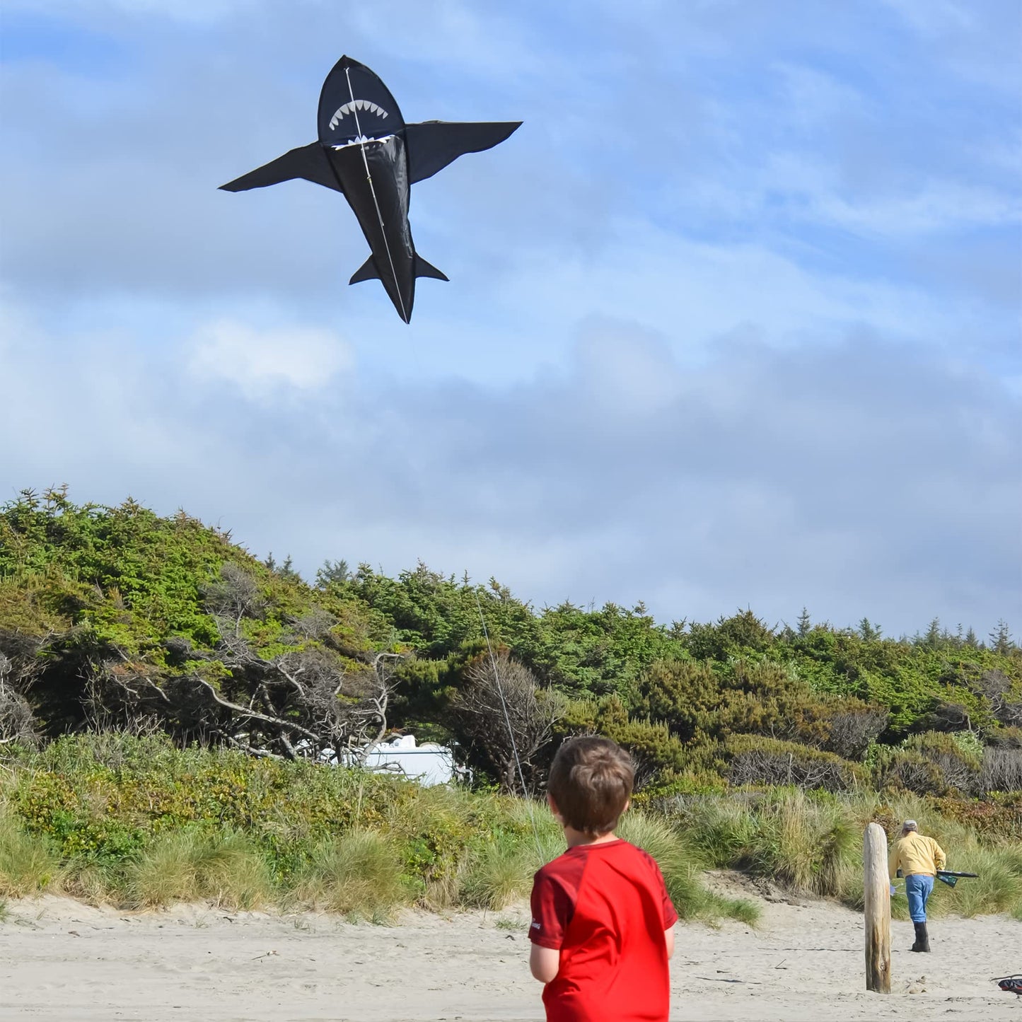 4 Foot 3D Black Shark Kite