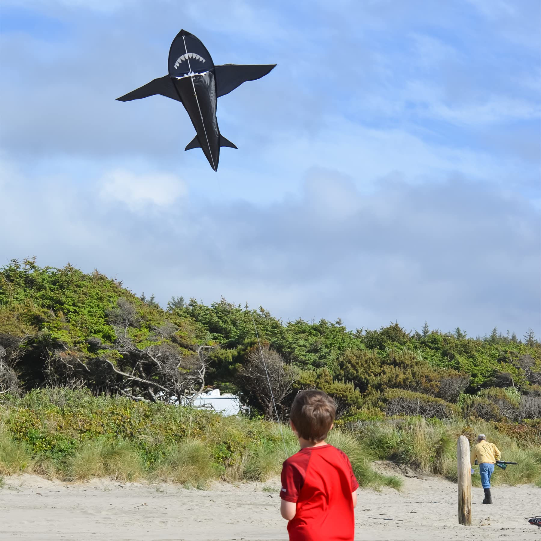 4 Foot 3D Black Shark Kite